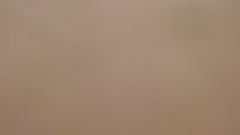 DandelionQueen's Streamate show and profile